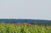 LATO 2014