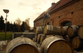Późna jesień 2016