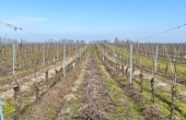 winnica_turnau_2025_ciecia_2.jpg