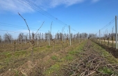 winnica_turnau_2025_ciecia_3.jpg