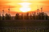 winnicaturnau_pieknamajowka_2025_01.jpg