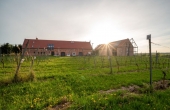 winnicaturnau_pieknamajowka_2025_02.jpg
